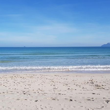 Ideal Property Mallorca - Blue Palm Beach Alcudia  Dış mekan fotoğraf