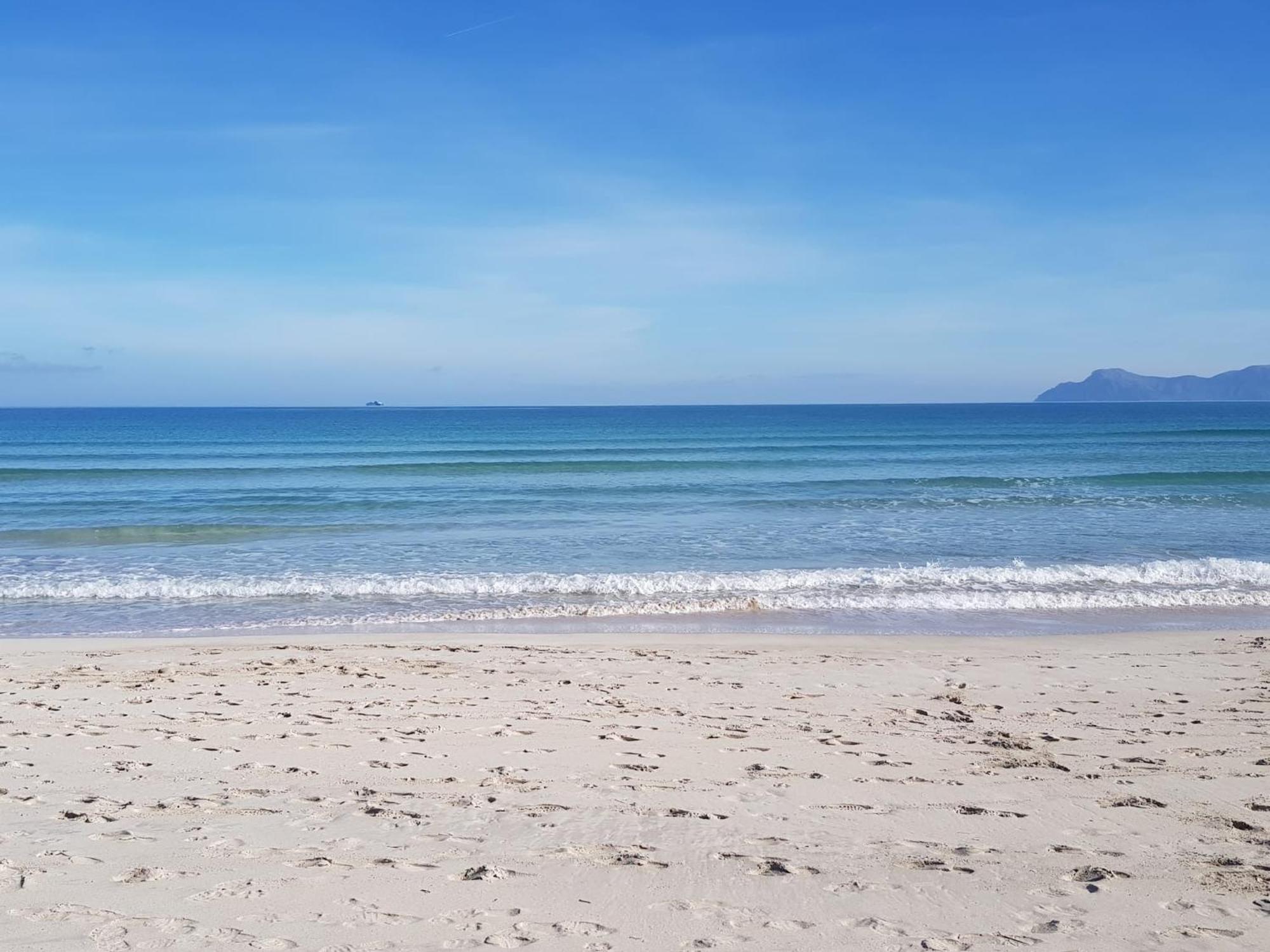Ideal Property Mallorca - Blue Palm Beach Alcudia  Dış mekan fotoğraf